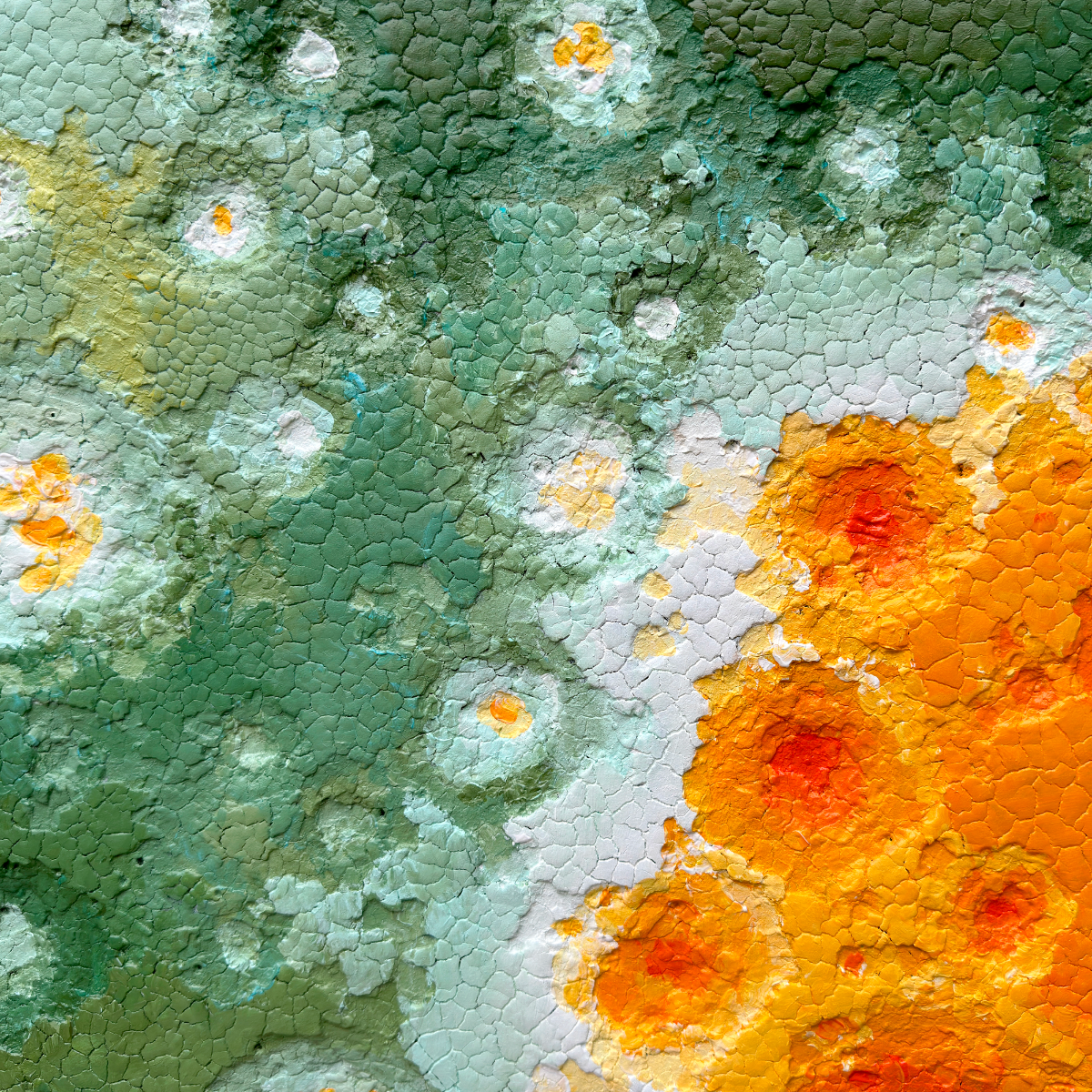 Chao Fang: Rotten Planet I