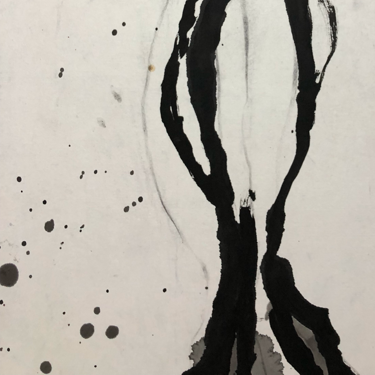 Ao Hu: Soaring Bird. 飞鸟