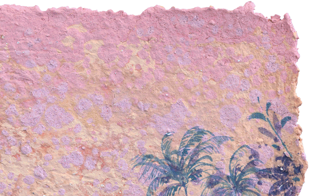 Kaijiang Yuan: Returning with the Waves