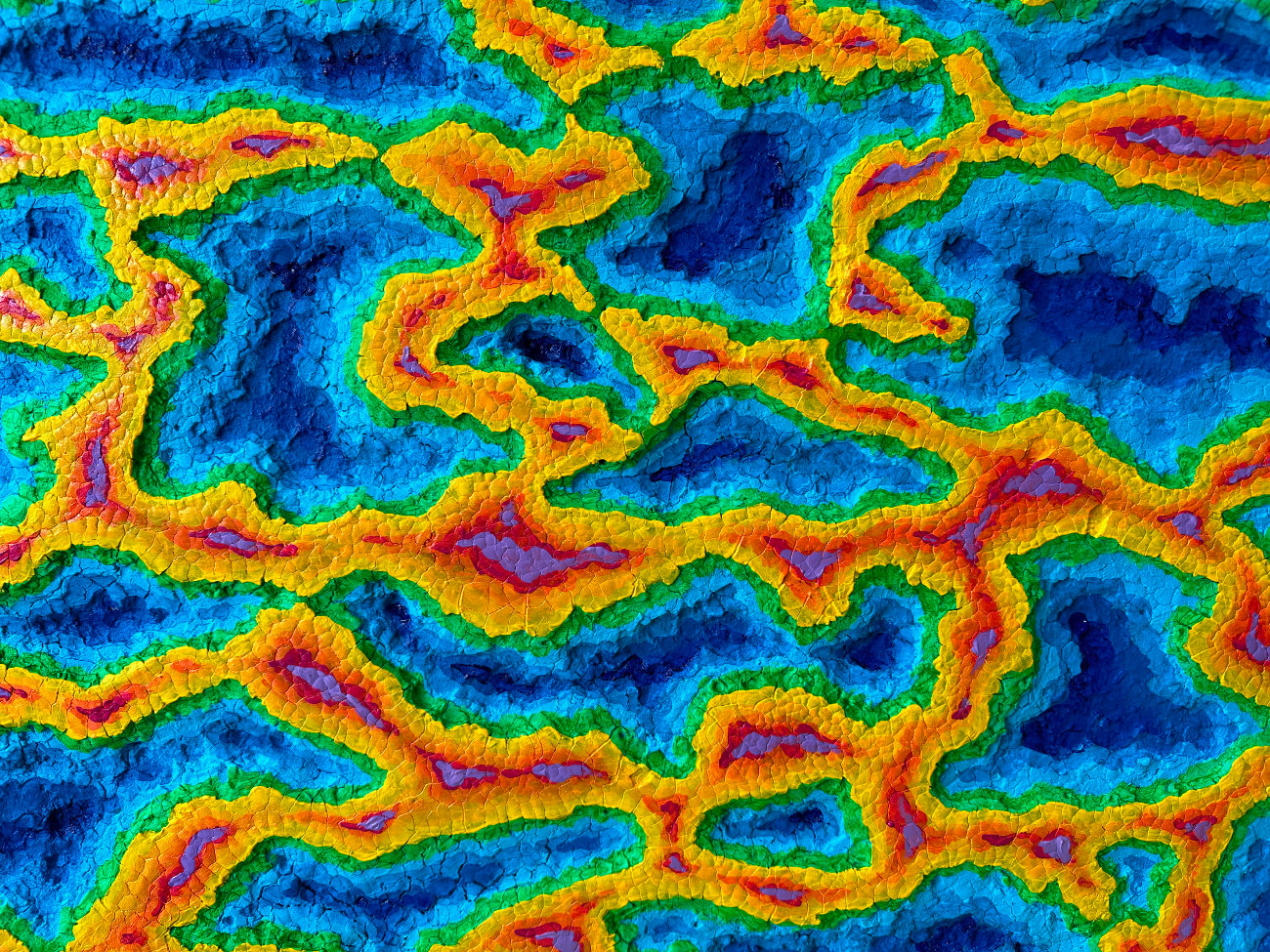 Chao Fang: Water Fossil II