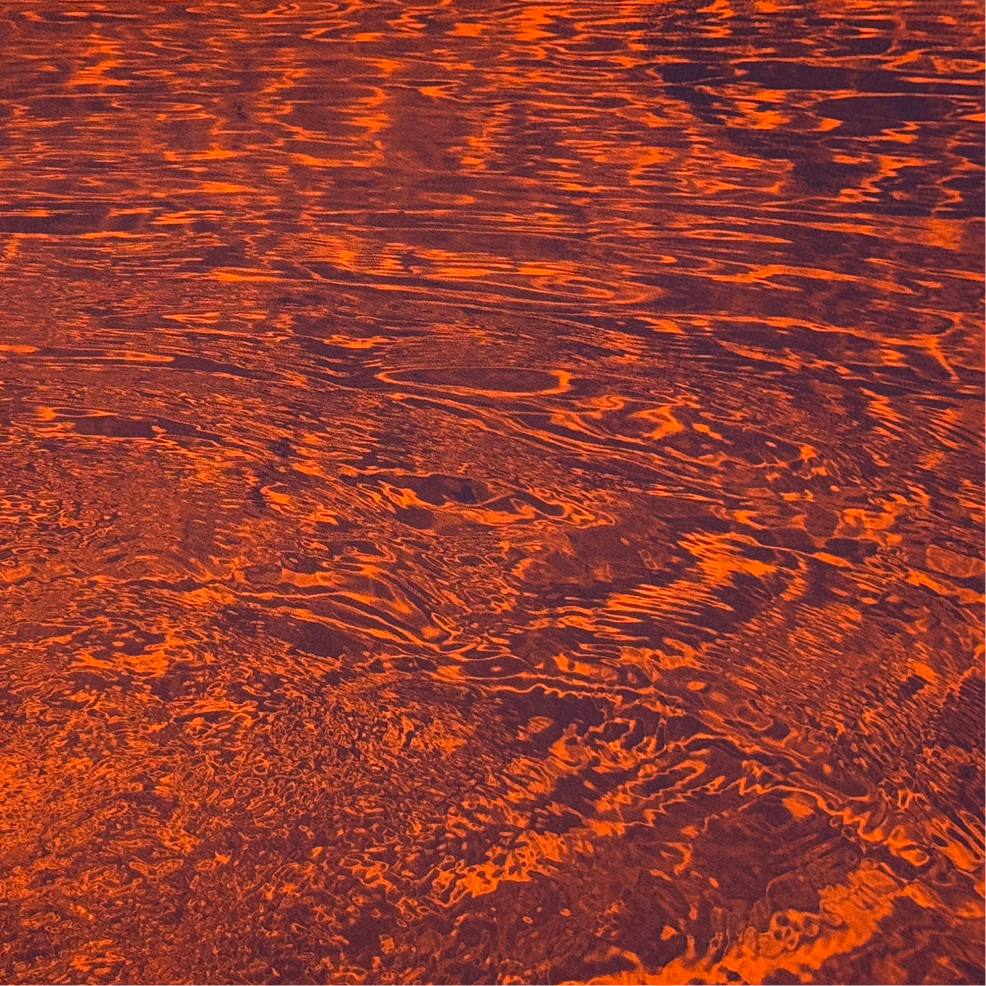 Yichen Ji: Liquid 001-Jacinth