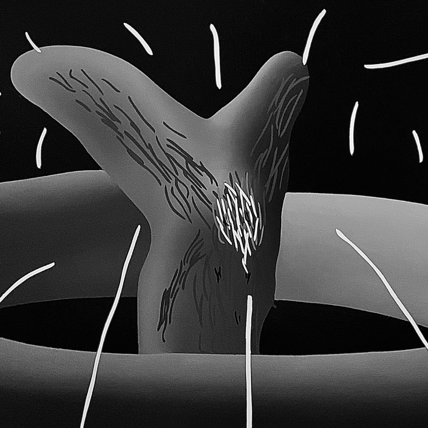 Yue Cao: Black Fountain No.2