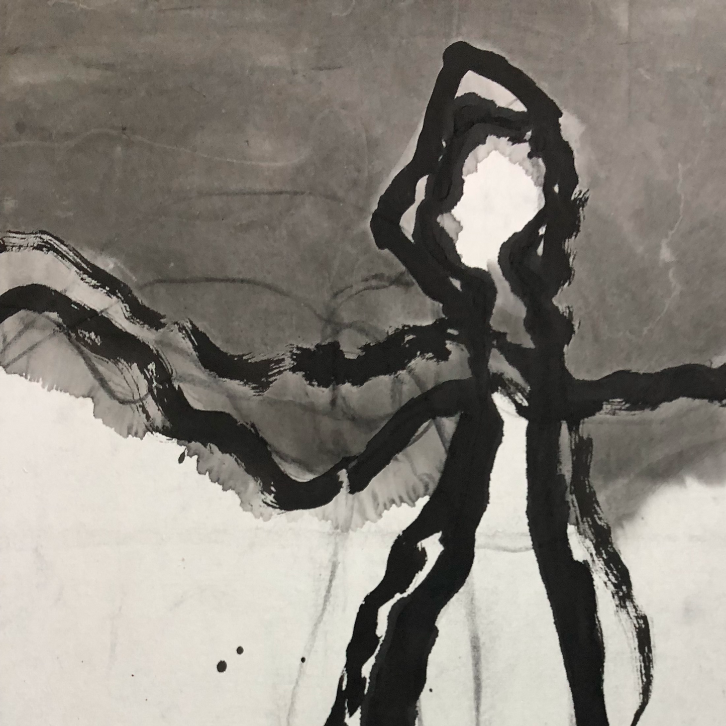 Ao Hu: Soaring Bird. 飞鸟