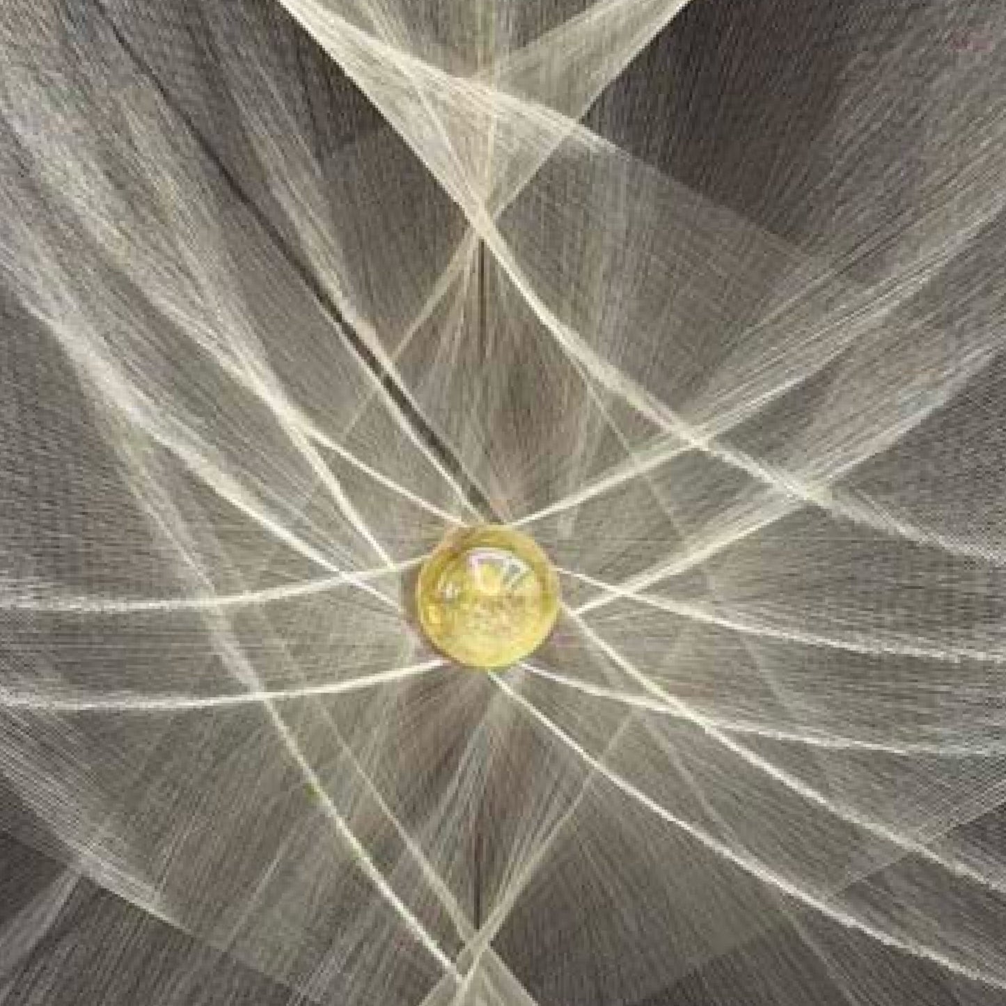 Song Yang: Yellow Star